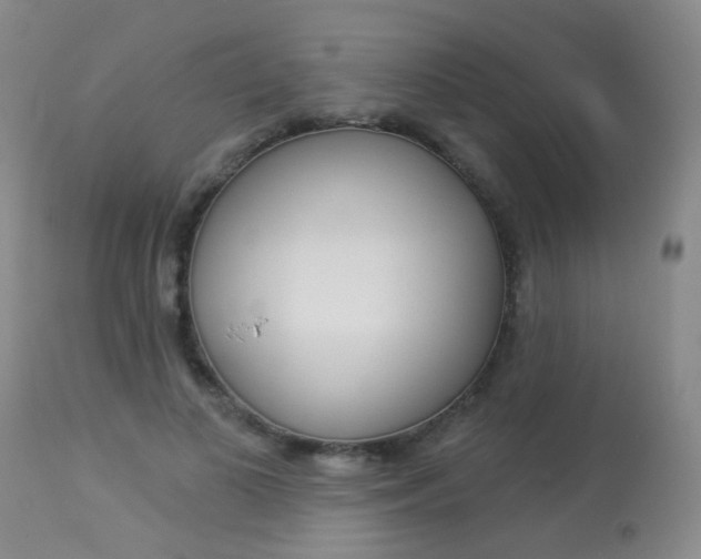 X0000113940693200909250940