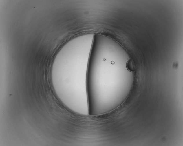 X0000113940697200909250940