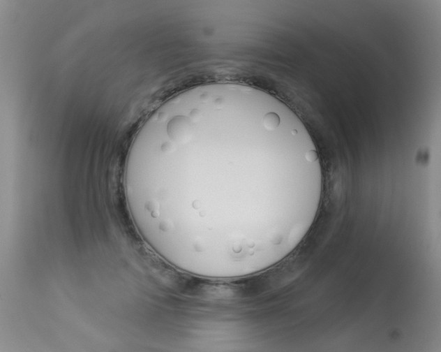 X0000113940698200909250940