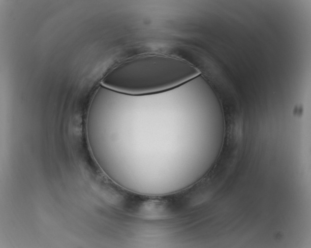 X0000113940700200909250940