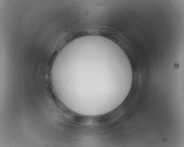 X0000113940702200909250940