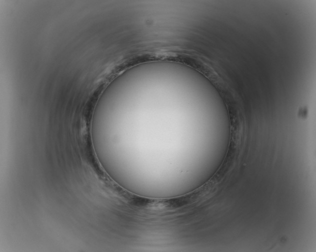 X0000113940704200909250940