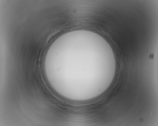 X0000113940705200909250939