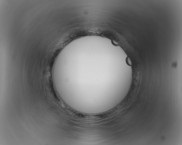 X0000113940707200909250939