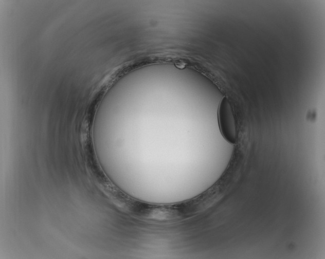 X0000113940708200909250939