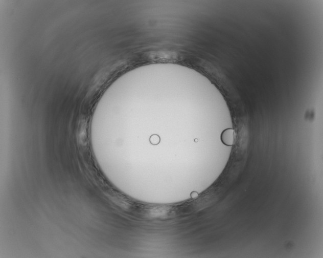 X0000113940709200909250939
