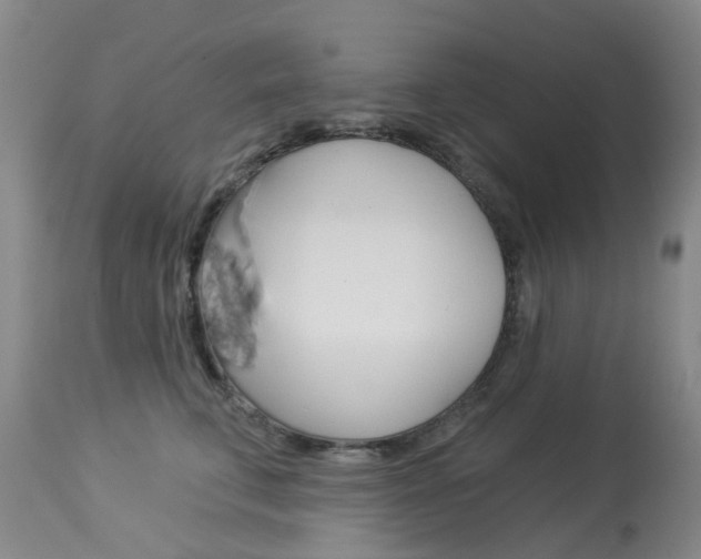 X0000113940711200909250939
