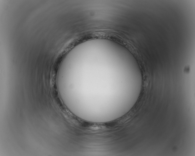 X0000113940712200909250939