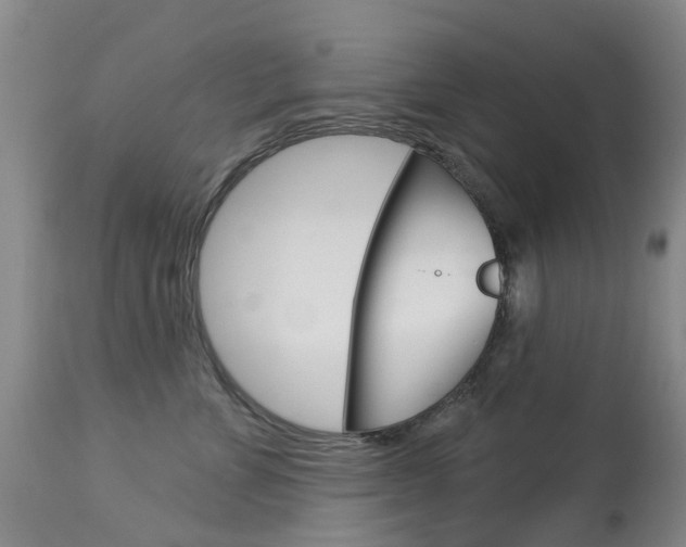 X0000113940715200909250939