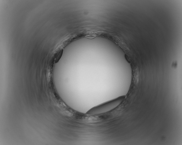 X0000113940716200909250939