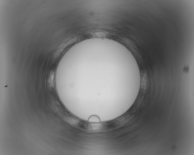 X0000113940717200909250939
