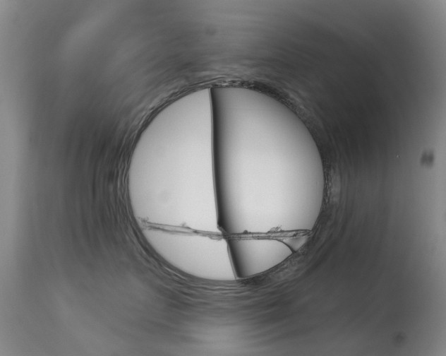 X0000113940719200909250939
