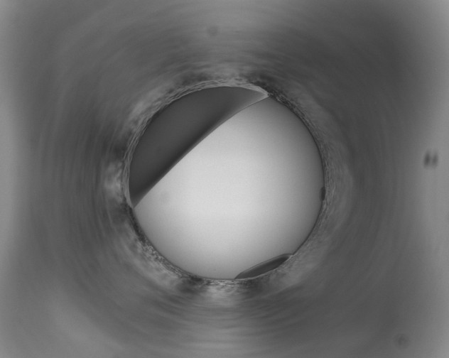 X0000113940720200909250939