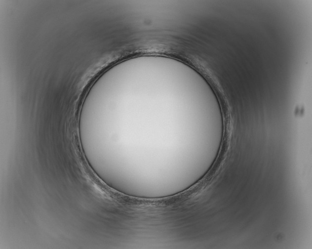 X0000113940721200909250939