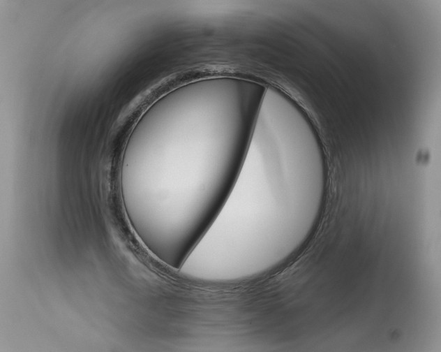 X0000113940722200909250939