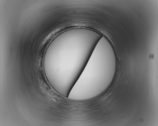 X0000113940723200909250939
