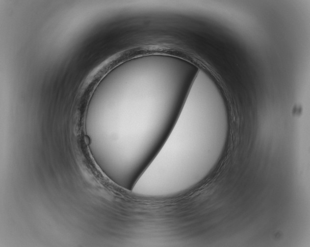 X0000113940724200909250939