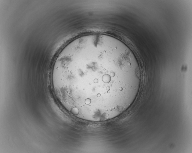 X0000113940725200909250939