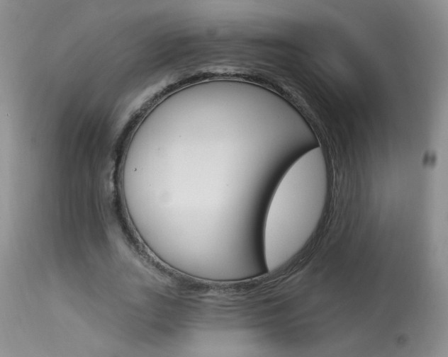 X0000113940727200909250939