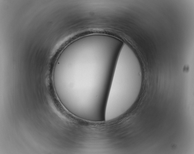 X0000113940728200909250939