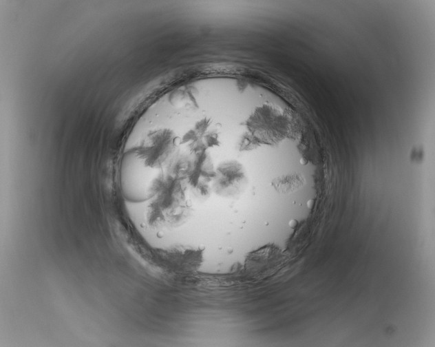 X0000113940729200909250939