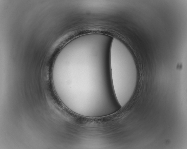 X0000113940731200909250939