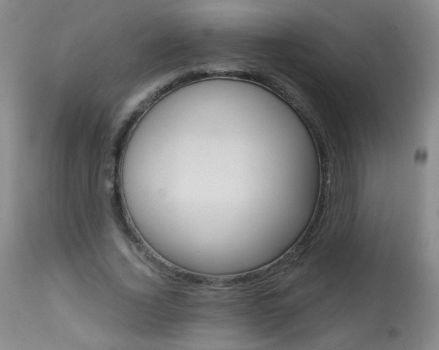 X0000113940732200909250939