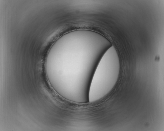 X0000113940735200909250939