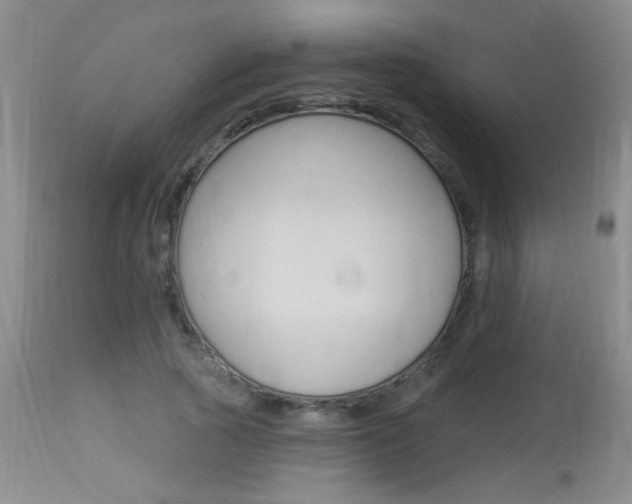 X0000113940737200909250939