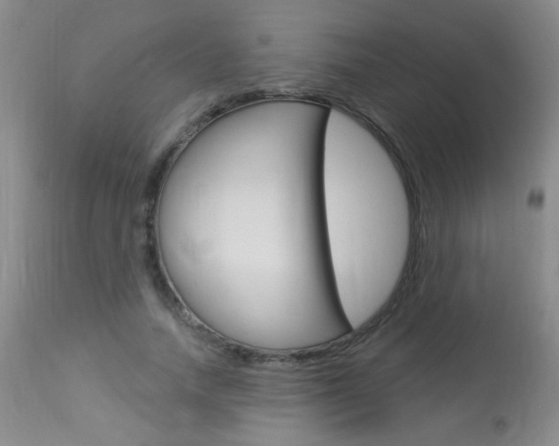 X0000113940738200909250939