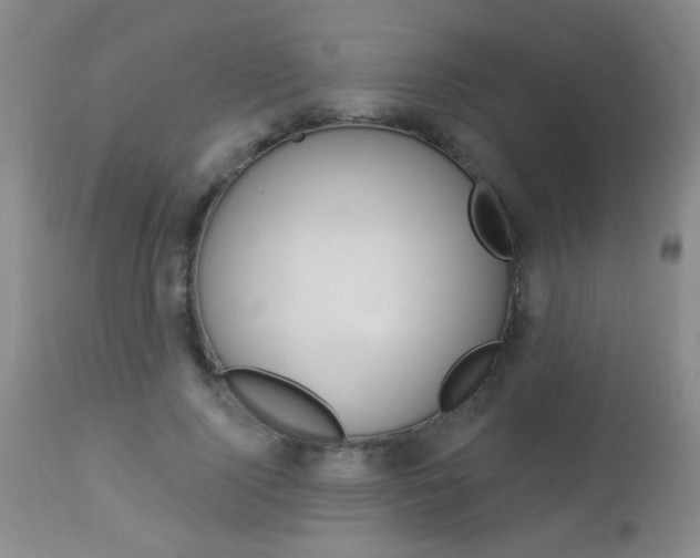 X0000113940740200909250939