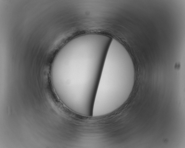 X0000113940742200909250939