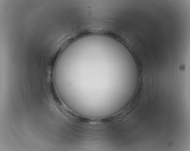 X0000113940744200909250939