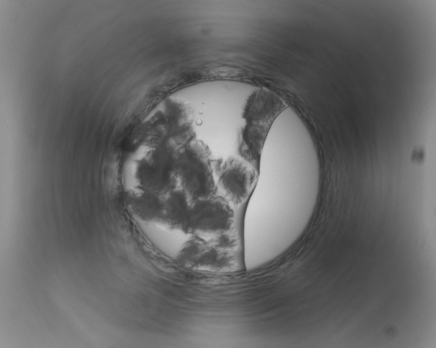 X0000113940745200909250939
