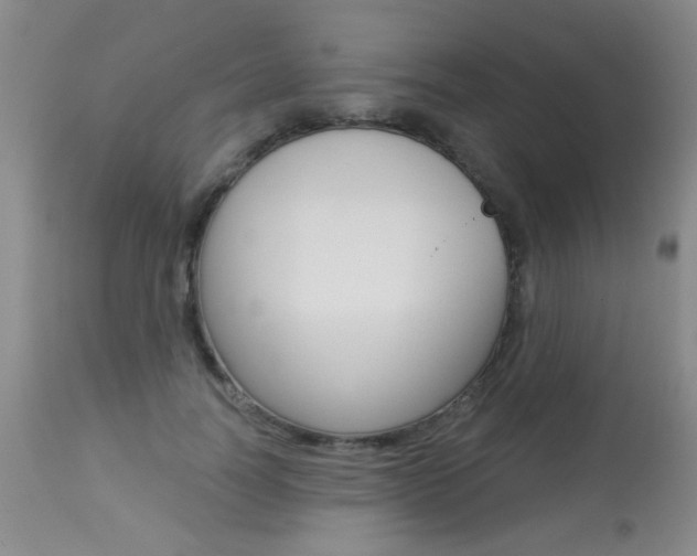 X0000113940746200909250939