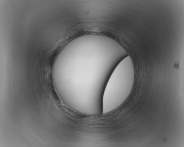 X0000113940747200909250939