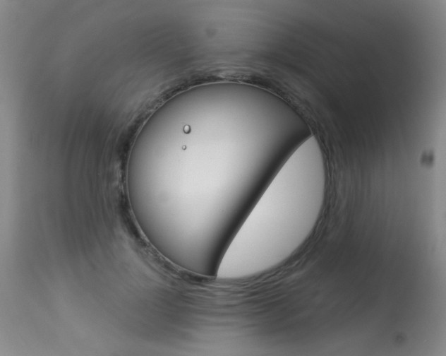 X0000113940748200909250939