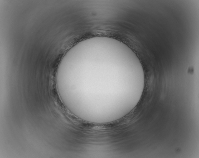 X0000113940749200909250939