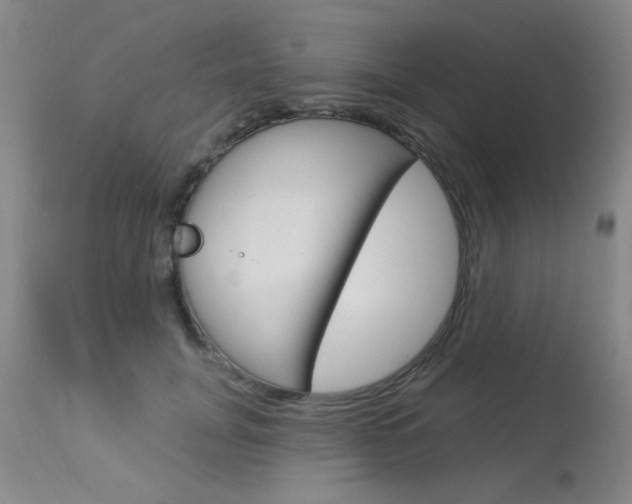 X0000113940751200909250939