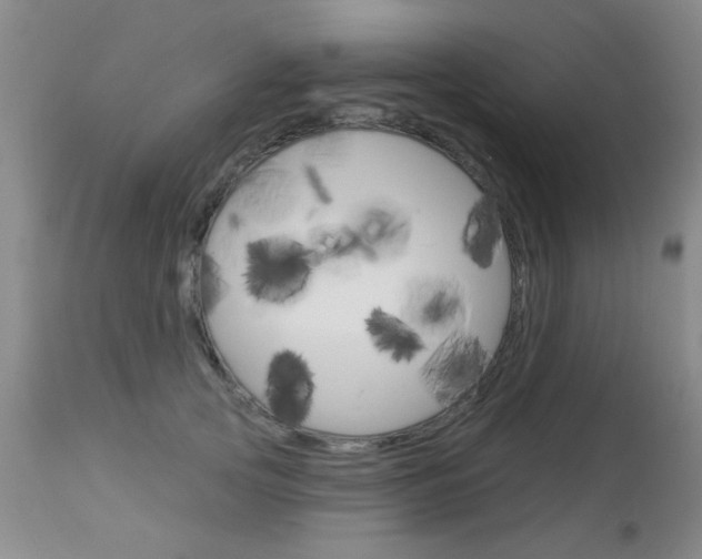 X0000113940753200909250939