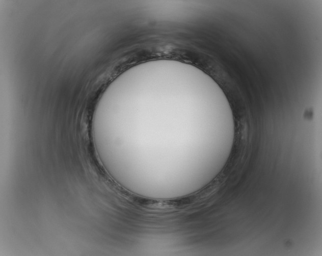 X0000113940754200909250939