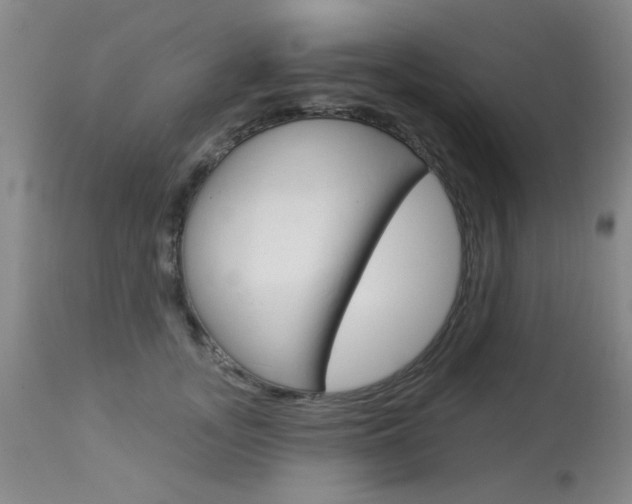 X0000113940755200909250939