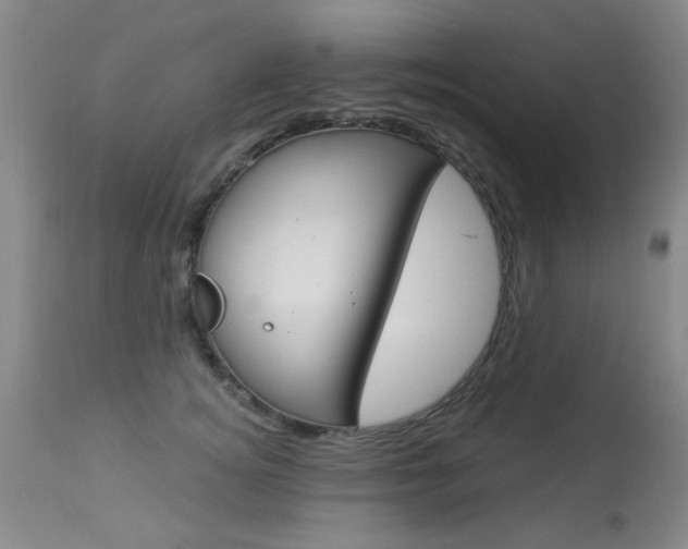 X0000113940756200909250939