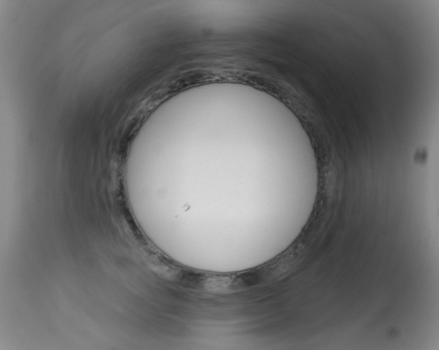 X0000113940757200909250939