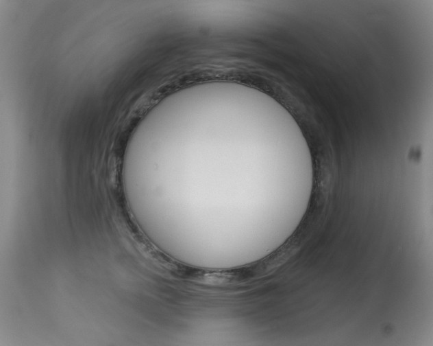 X0000113940758200909250939