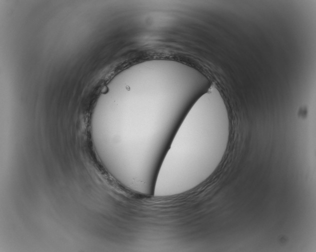 X0000113940759200909250939