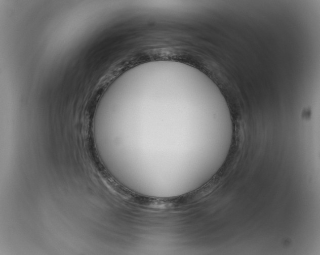 X0000113940760200909250939