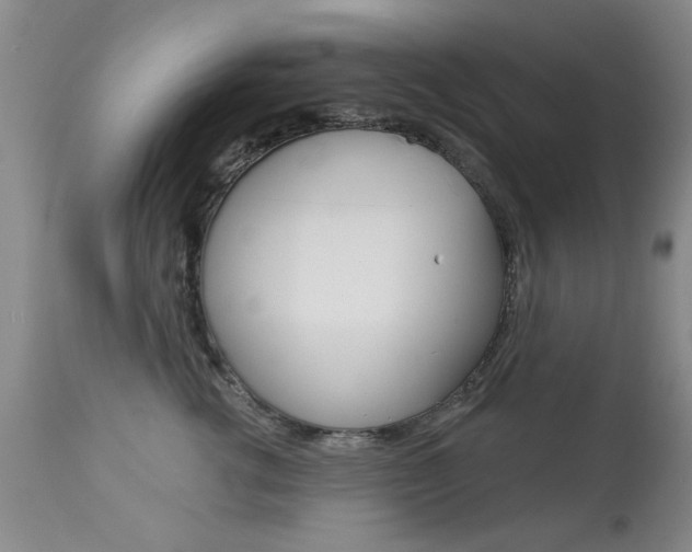 X0000113940762200909250939