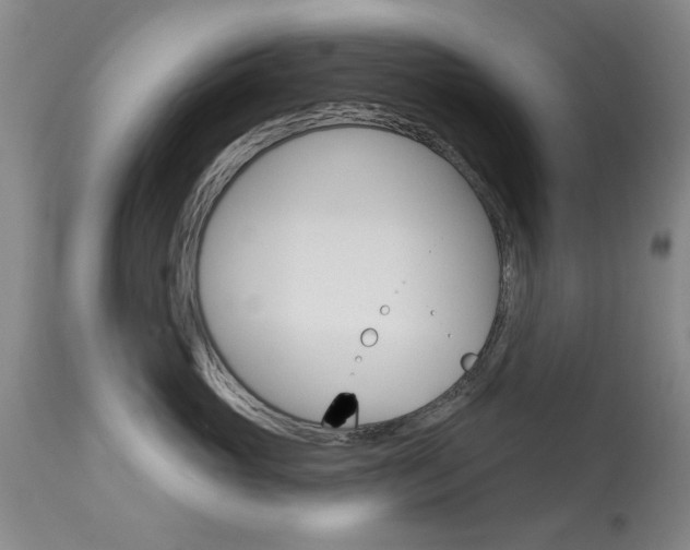 X0000113940765200909250939