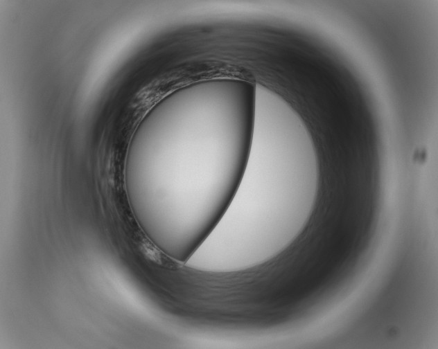X0000113940766200909250939